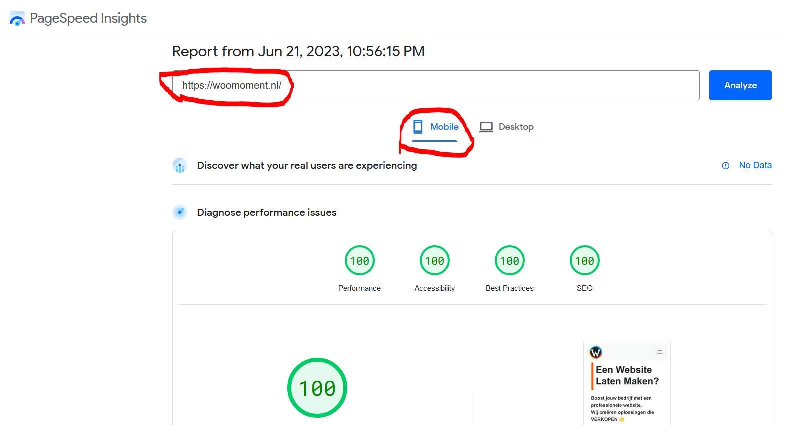 pagina snelheidstest